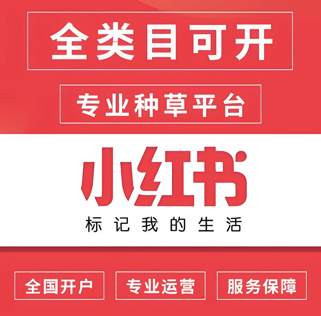 小红书推广&代运营成功案例